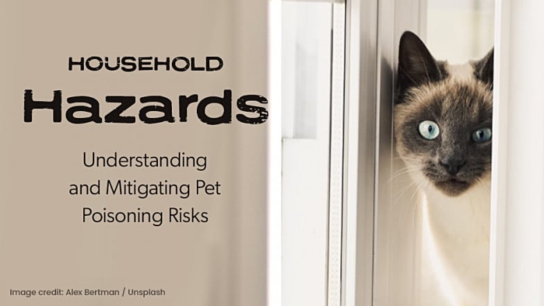 A Siamese cat peers through window blinds next to text about household hazards and pet poisoning risks.